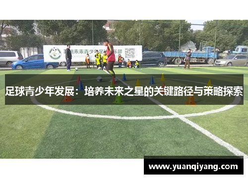 足球青少年发展：培养未来之星的关键路径与策略探索