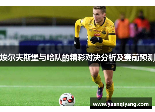 埃尔夫斯堡与哈队的精彩对决分析及赛前预测